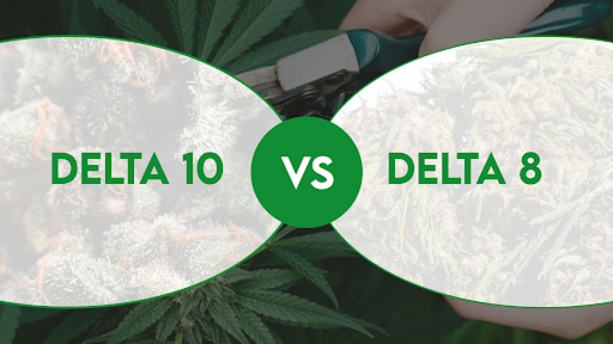 delta-10-vs-delta-8