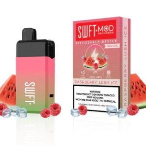 Raspberry Lush Ice - SWFT MOD